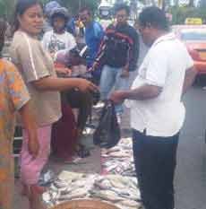 Warga Meraup Untung Munculnya Ikan Mabuk di Kali Jagir