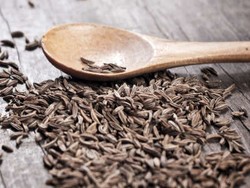 Jinten Dapat Menangkal Masuk Angin