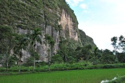 Panjat Tebing di Lembah Harau, Berani?