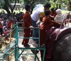 Pengunjung KBS Gratis Hari Ini Capai 135 Ribu Orang