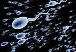 Permintaan Sperma Asal AS Makin Meningkat di Seluruh Dunia