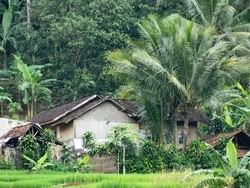 Citatih
