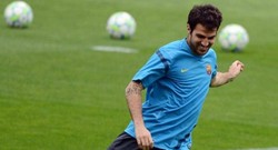 Del Bosque Berharap Fabregas Segera Fit