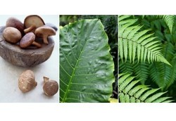 Orang Indonesia Sering Keracunan Karena Ini