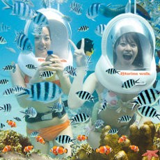 Bali Marine Walk Promo Harga untuk Jalan di Bawah Air
