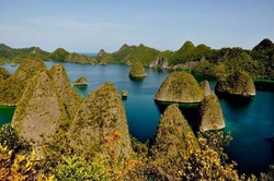 Berharap Pada Popularitas Raja Ampat