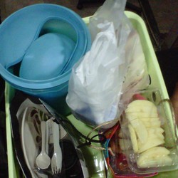 Keluarga Bawa Jambu dan Buku-buku Ekonomi untuk Miranda