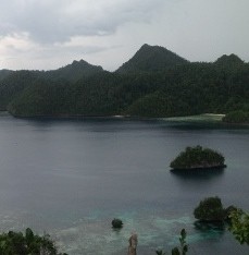 Tips Backpacker di Raja Ampat