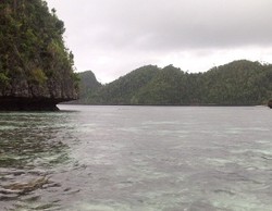 Susahnya Memburu Pemburu Hiu Ilegal di Raja Ampat