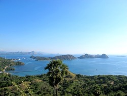 Memadu Kasih di Bukit Cinta, Flores