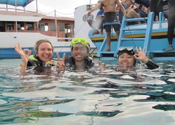 Ini Dia 6 Tips Diving untuk Pemula