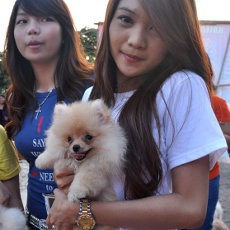 Guk! Guk! Lucunya Festival Anjing di Fort Rotterdam