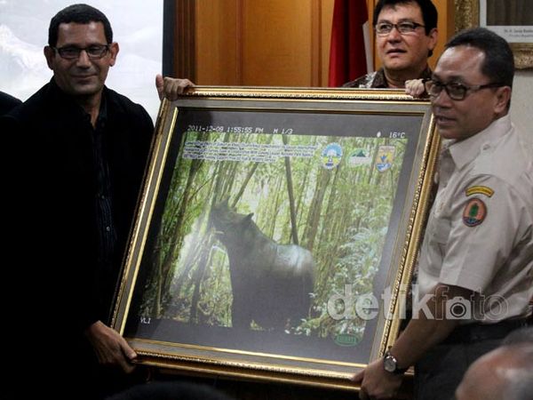 2012 Disepakati Jadi Tahun Badak Internasional 2012 Disepakati Jadi Tahun Badak Internasional