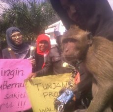 Demo di Gedung Sate, Guru Bawa Monyet dan Bunga