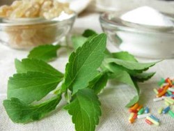 Daun Stevia, Pemanis Alami Bebas Kalori