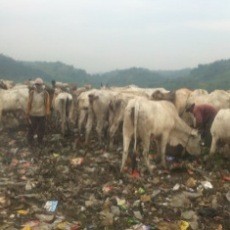 Mahasiswa Bogor Sulap Sampah Organik jadi Sumber Energi Gas