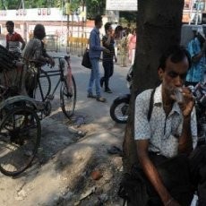 16 Nyawa Melayang Akibat Gelombang Panas di India