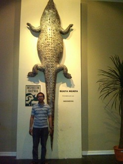 Giant Monster