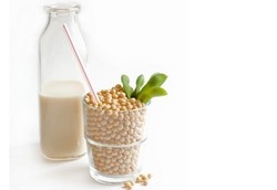 Susu Kedelai Sehebat ASI?