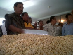 Mengintip Pabrik Tempe Moderen di Bogor