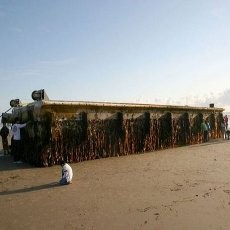 Ck...ck...! Dermaga Besar dari Jepang Terdampar di Pantai AS
