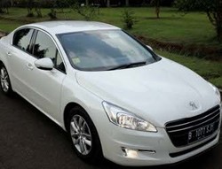 Merasakan Auman Singa 508