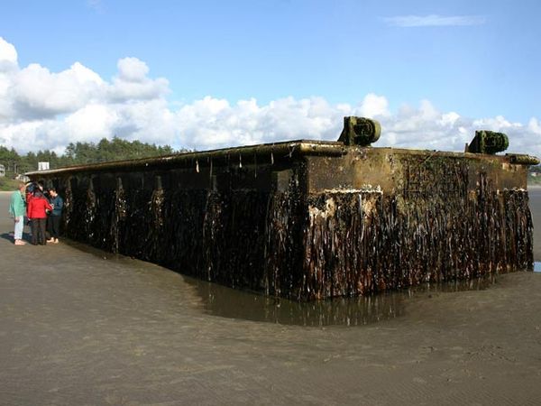 Potongan Dermaga Jepang Terdampar di AS
