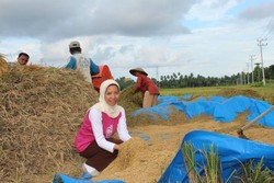 Sidrotun Naim, Wanita Muda Peneliti Udang Kebanggaan Indonesia