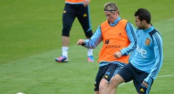 Fabregas Ingin Raih Treble dengan Spanyol