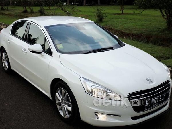 Merasakan Auman Singa 508