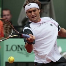 Kalahkan Murray, Ferrer Tantang Nadal di Semifinal