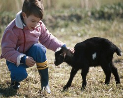 Tips Agar Anak Tidak Takut Lagi Pada Hewan