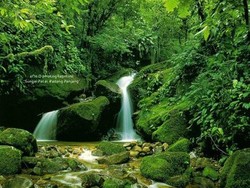 Back to Nature