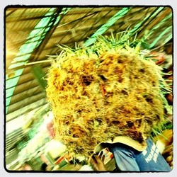 Kontes Foto BibbyCam : kurnia ramadi