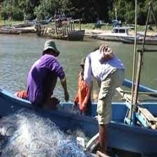 Hanya 1 Persen Sarjana yang Mau Jadi Petani dan Nelayan