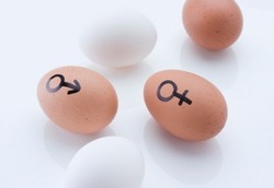 Penyakit-penyakit yang Bisa Bikin Pria dan Wanita Mandul