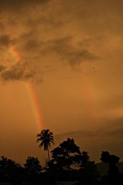 Apa yang kamu lihat?