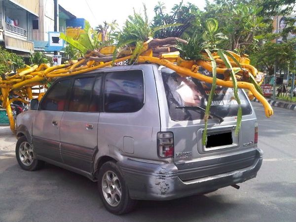 Pot Tanaman Berjalan