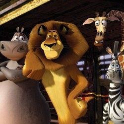 Madagascar 3 Meluncur ke Puncak Box Office