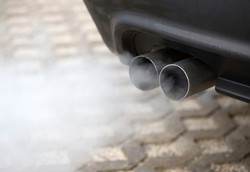 Makanan yang Dapat Menangkal Racun Polusi