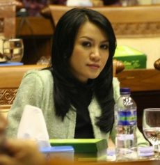 Pimpinan DPR Panggil BK Soal Penghentian Kasus Video Porno