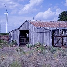 Cabuli Bocah 4 Tahun, Pria AS Dibunuh