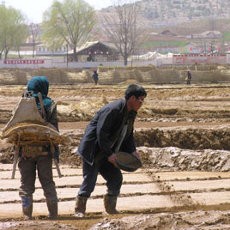 Memprihatinkan! 16 Juta Warga Korut Kekurangan Pangan