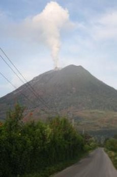 50 Hektare Hutan Gunung Sinabung Terbakar