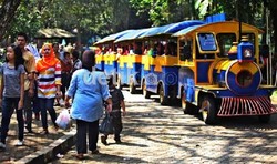 Asyik! 24 Juni Gratis Masuk Ragunan dan Naik TransJakarta