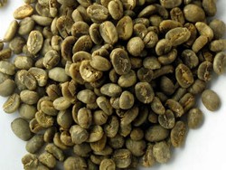 Ingin Menurunkan Berat Badan? Konsumsi Saja Kopi Mentah!