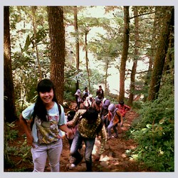 cilember