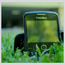 blackberry 8520