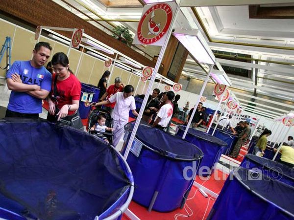 Super Koi 2012 Manjakan Pecinta Ikan Hias