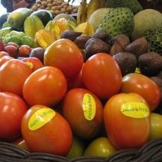 Masyarakat Jatim Diimbau Tidak Beli Buah Impor